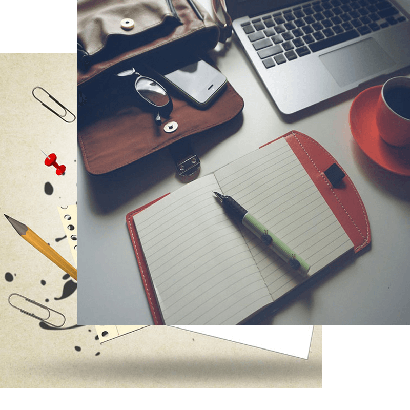DIVA Solutions - Đối tác Marketing & Chuyển đổi số cho SME và Startup B2B